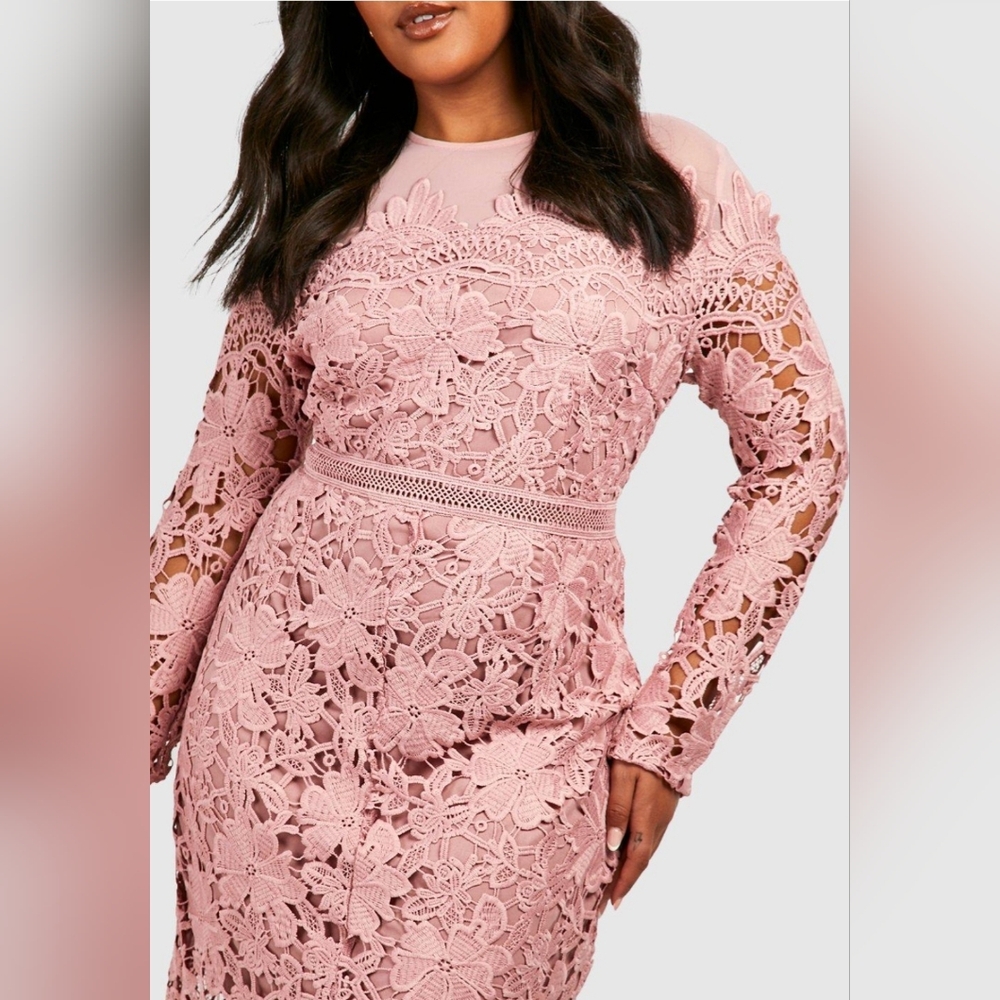 New Occasion Embroidered Floral Midi Dress